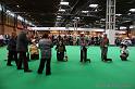 Crufts2011_2 523